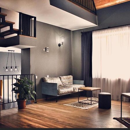 Villa Kazbegi カズベギ エクステリア 写真