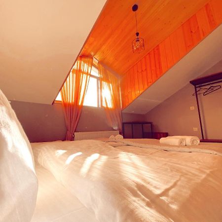 Villa Kazbegi カズベギ エクステリア 写真