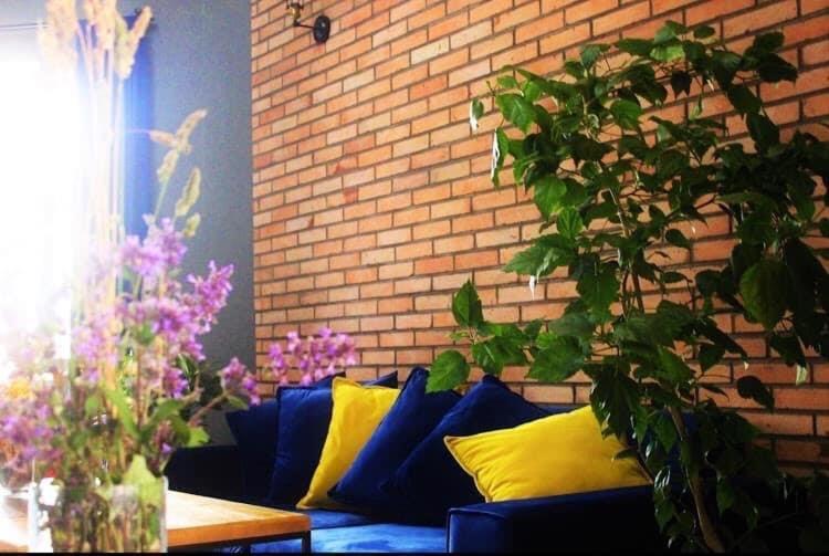 Villa Kazbegi カズベギ エクステリア 写真