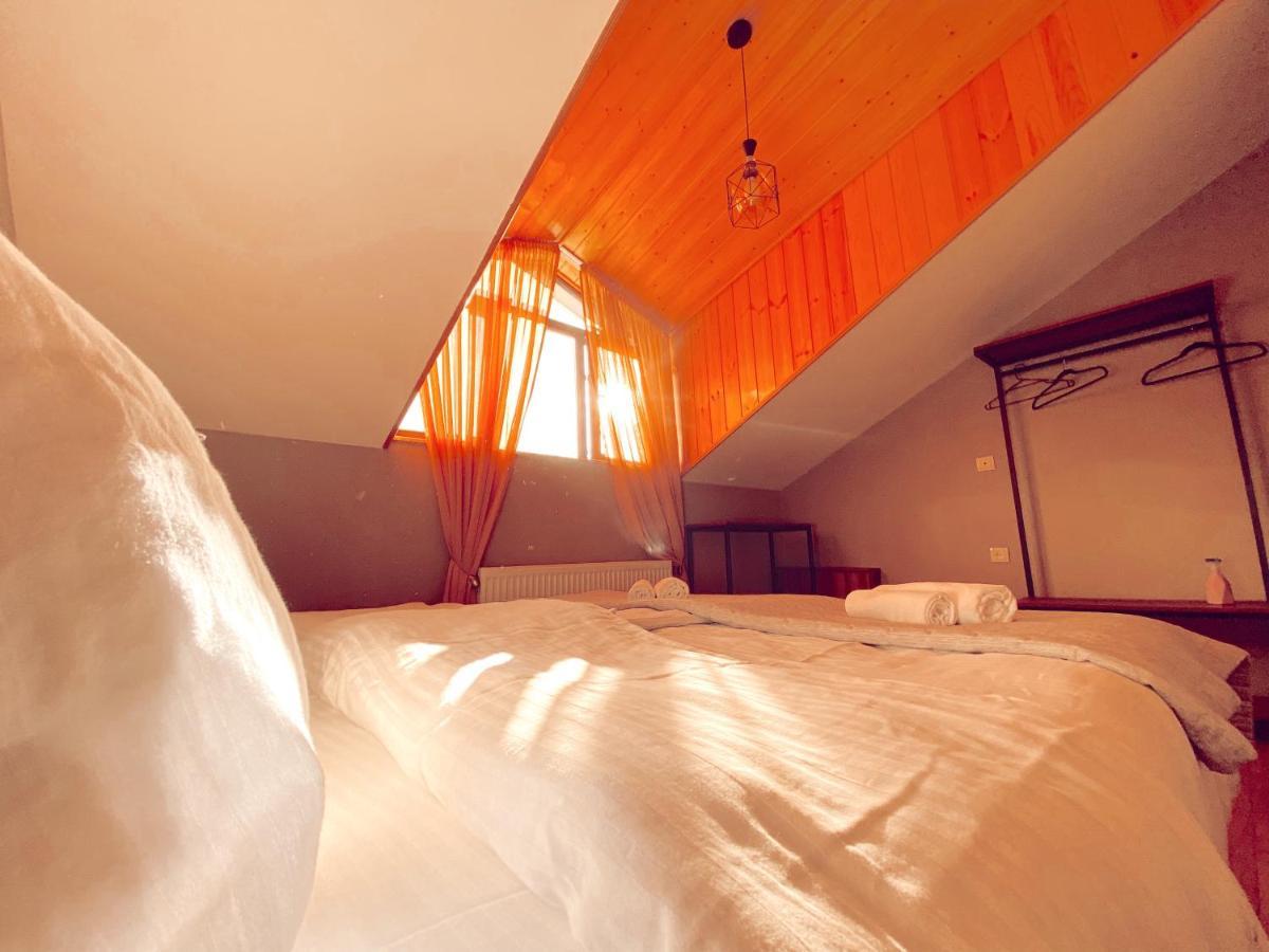 Villa Kazbegi カズベギ エクステリア 写真
