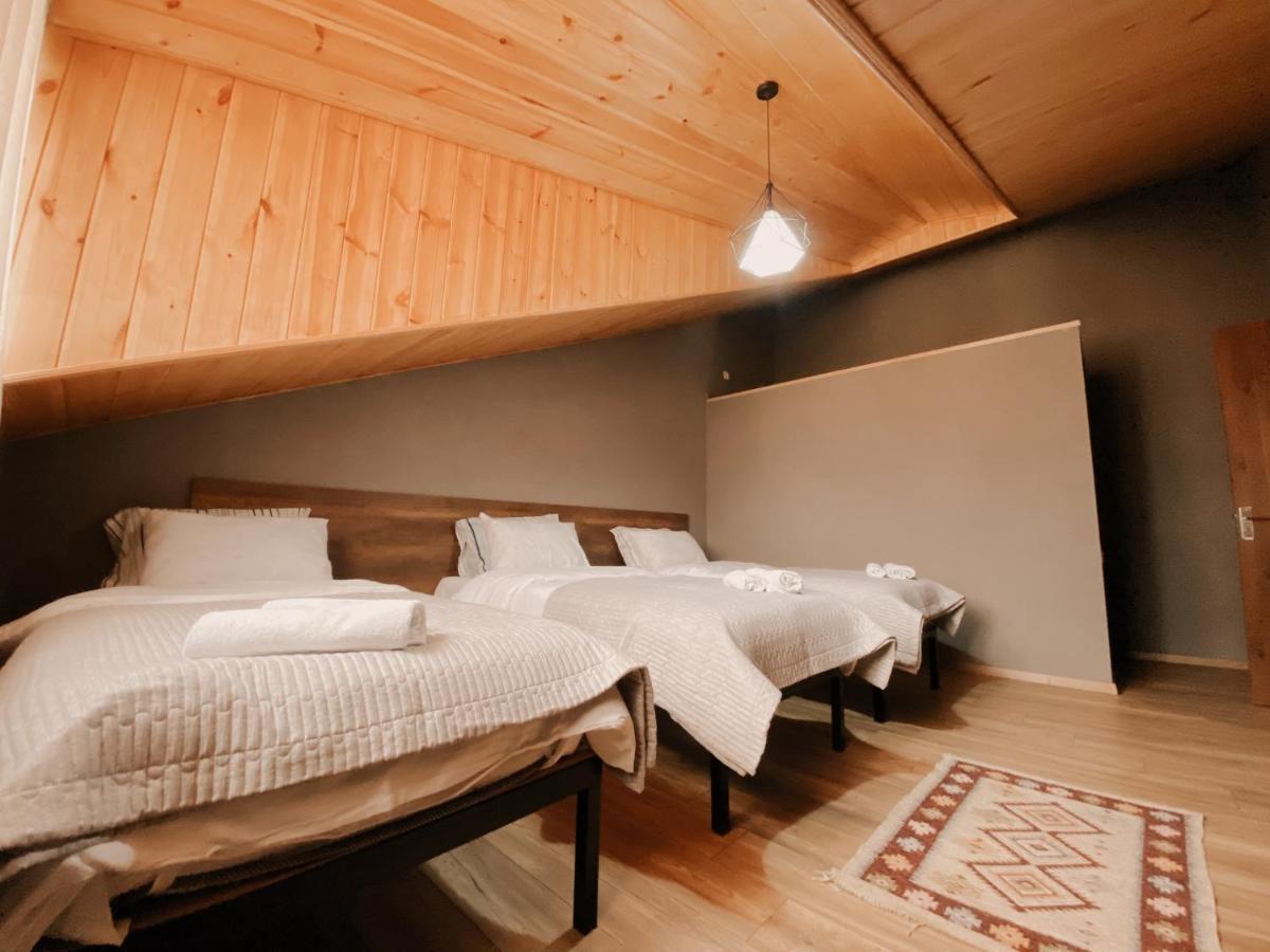 Villa Kazbegi カズベギ エクステリア 写真